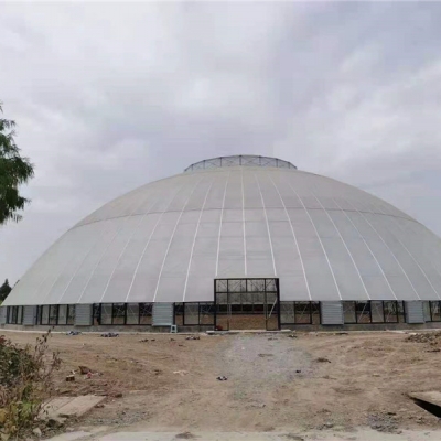魚臺2000平米陽光板鳥巢溫室